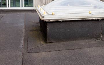 disadvantages of Logie Hill flat roofs